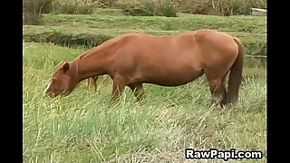 4526 bareback porn videos